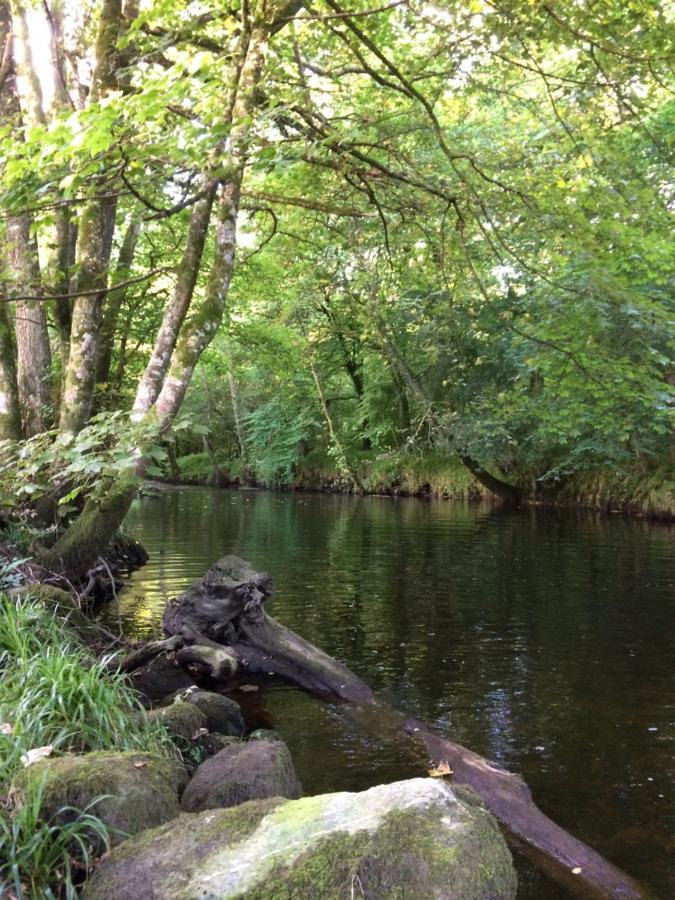 Riverside * Betws-y-Coed